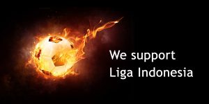 We support Liga Indonesia